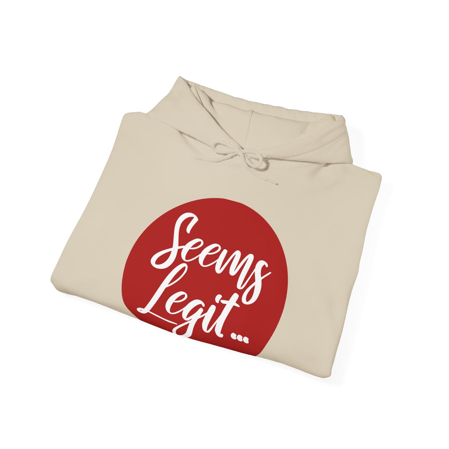 Seems Legit - 1st Edition