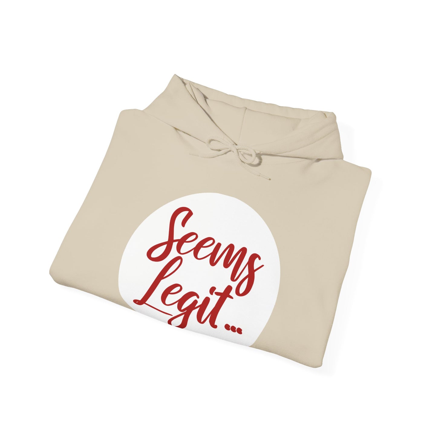 Seems Legit - 1st Edition