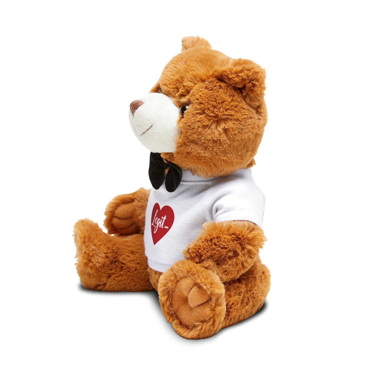 Legit Teddy Bear with T-Shirt