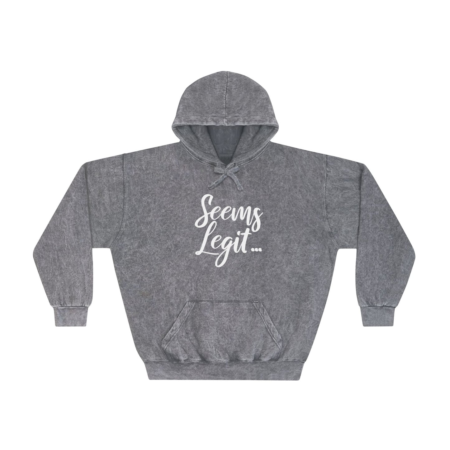 Seems Legit Mineral Wash Hoodie